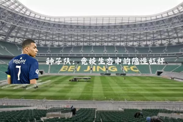 种子队:竞技生态中的隐性杠杆